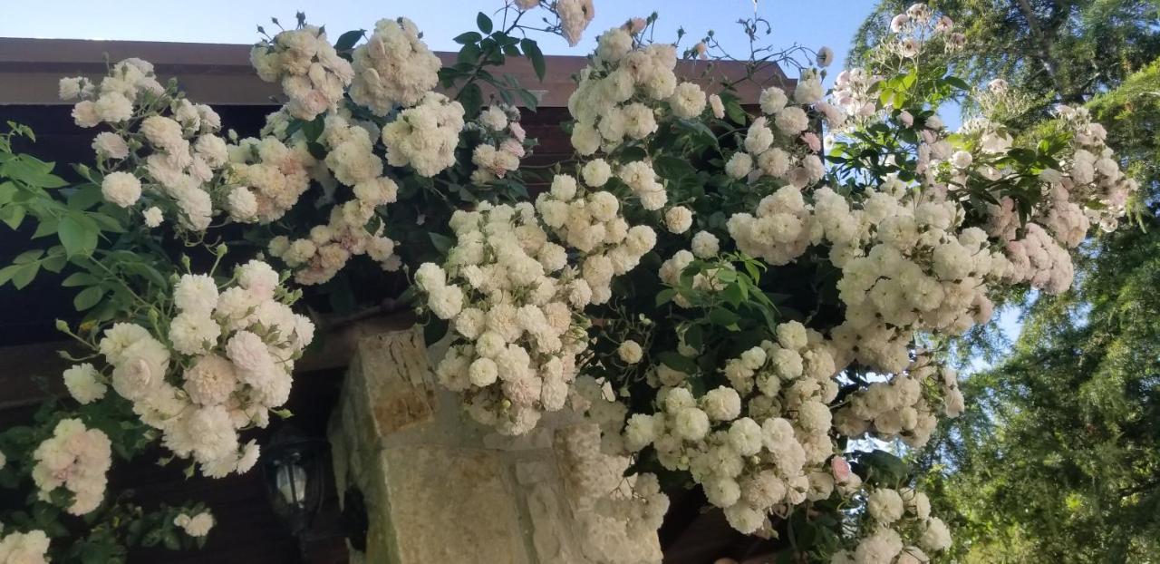 Lushnjë Country House Bubullime Albania מראה חיצוני תמונה
