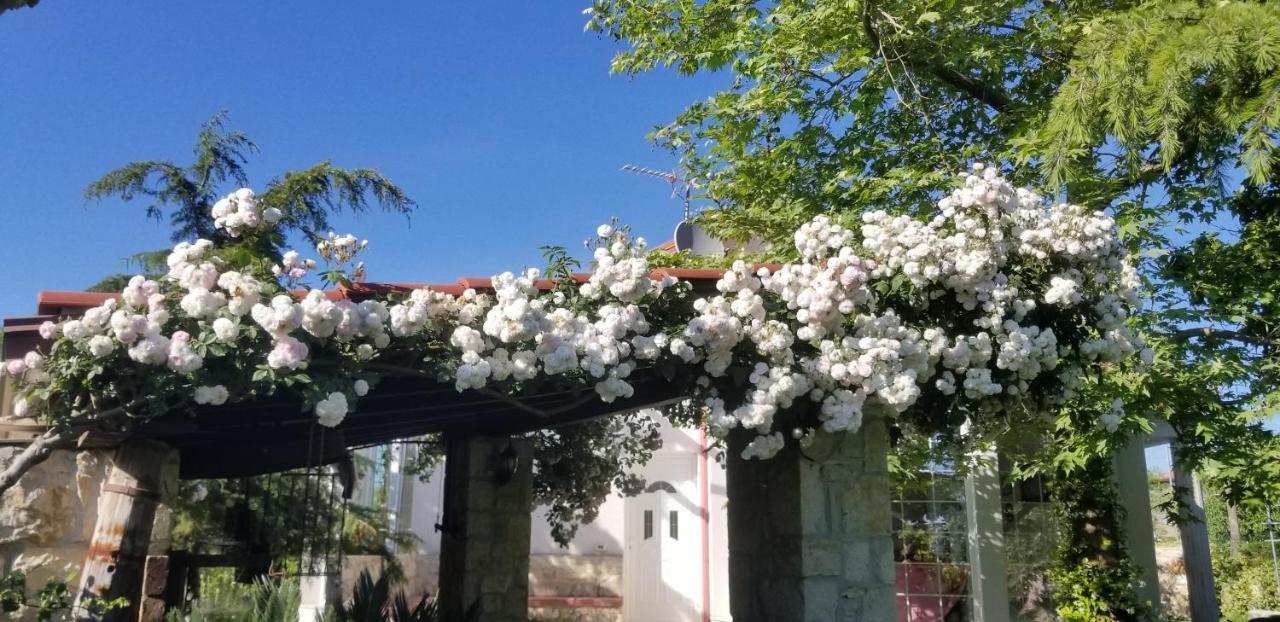 Lushnjë Country House Bubullime Albania מראה חיצוני תמונה