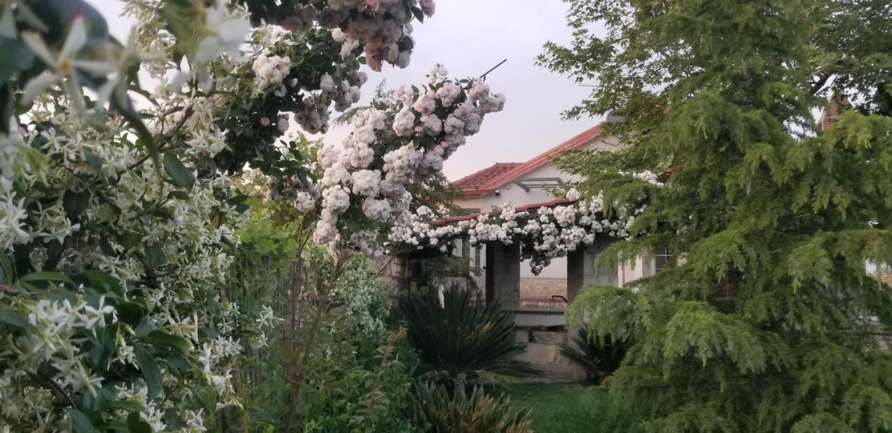 Lushnjë Country House Bubullime Albania מראה חיצוני תמונה