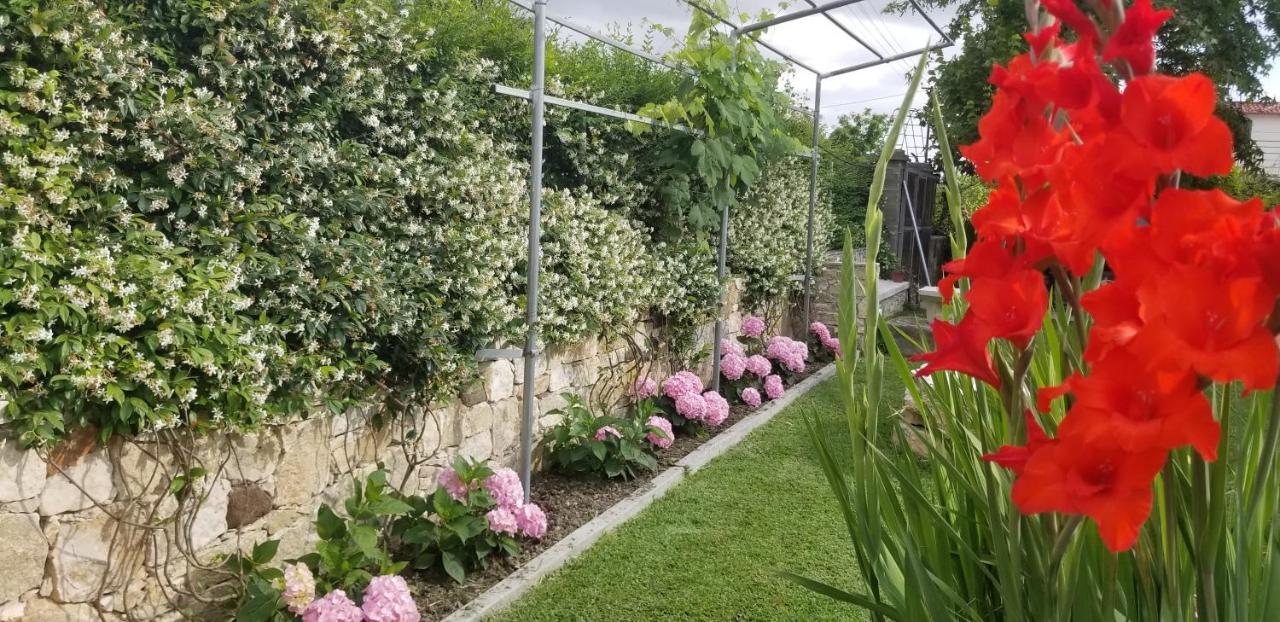 Lushnjë Country House Bubullime Albania מראה חיצוני תמונה