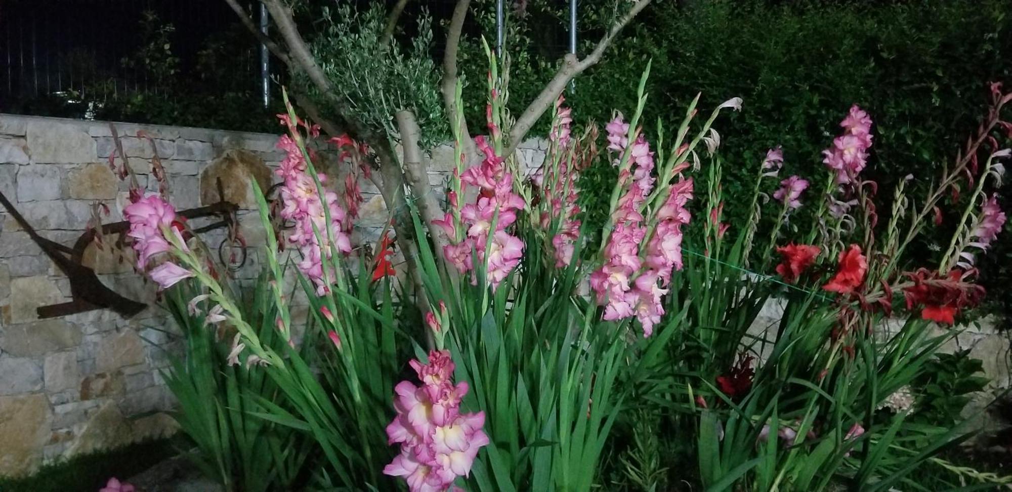 Lushnjë Country House Bubullime Albania מראה חיצוני תמונה