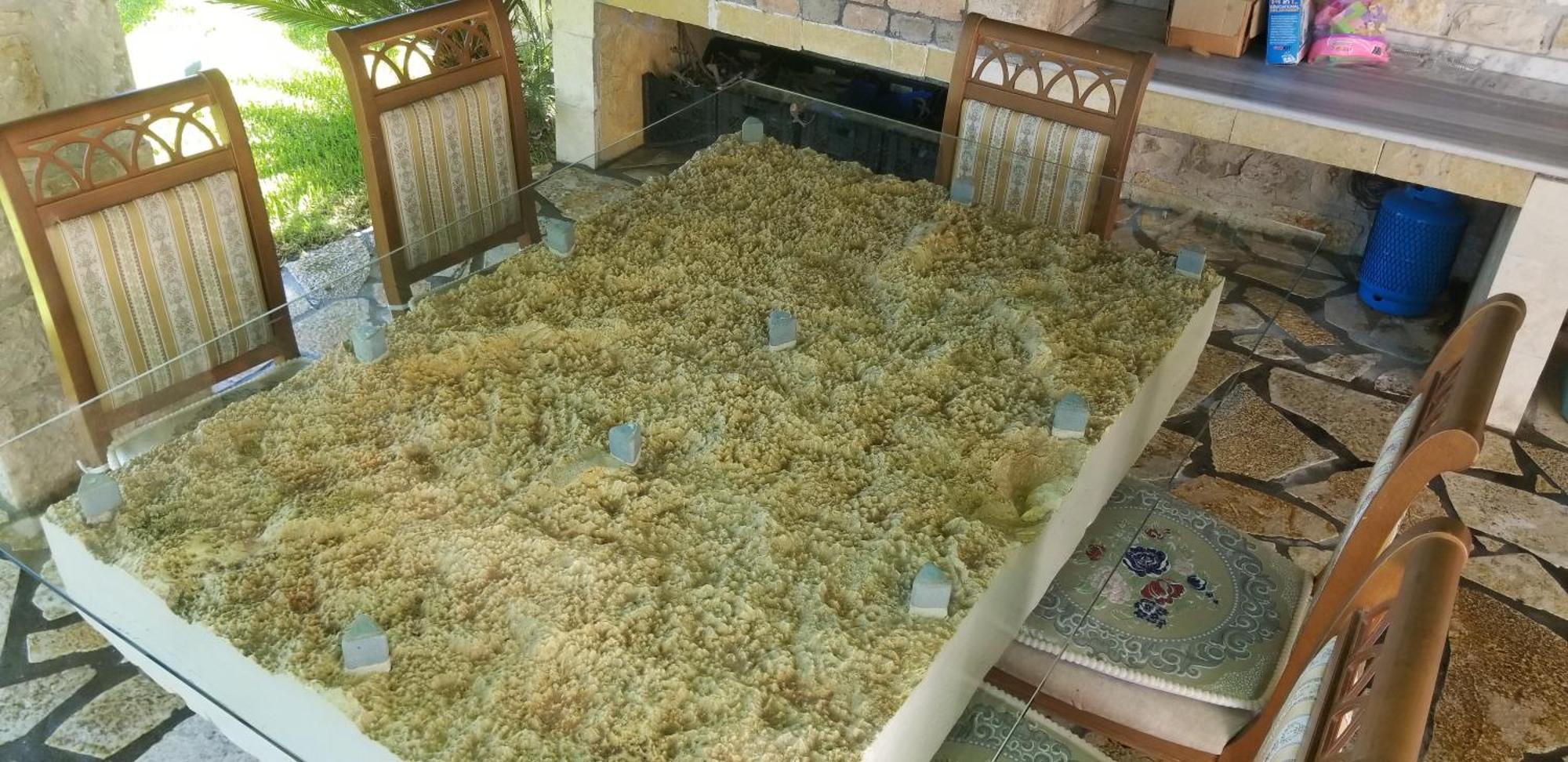 Lushnjë Country House Bubullime Albania מראה חיצוני תמונה