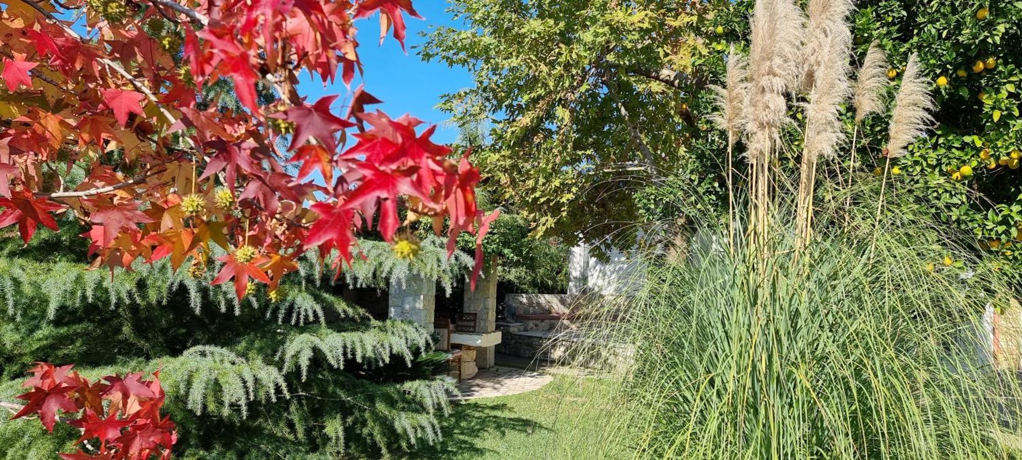 Lushnjë Country House Bubullime Albania מראה חיצוני תמונה